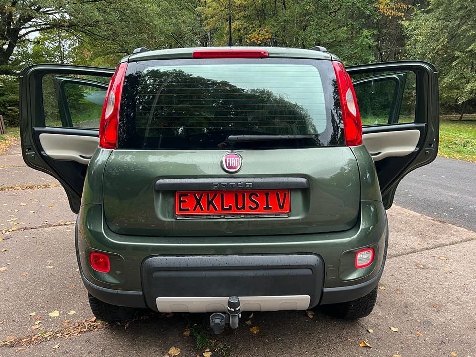 Fiat Panda Rock 4x4 Allrad Klima Alu AHK Top Zustand in Georgenthal