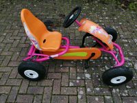 Berg Roxy Kettcar Gokart Mädchen Hessen - Wöllstadt Vorschau