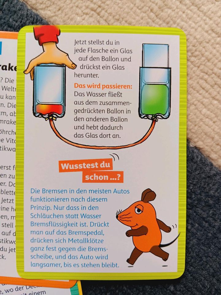 Die Maus - kleine Alltagsexperimente in Göppingen