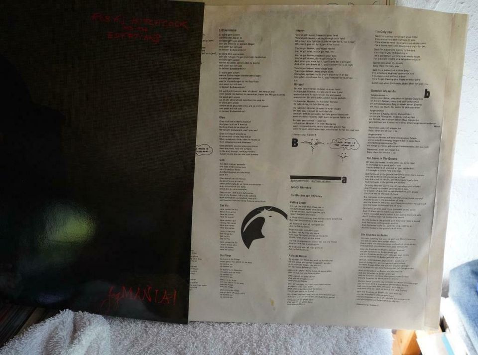 Robyn Hitchcock 2 LPs Vinyl in Schlüchtern