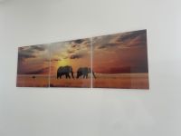 Panorama Bilder auf Glas 120x40 Elefanten Sunset Afrika Safari Düsseldorf - Friedrichstadt Vorschau