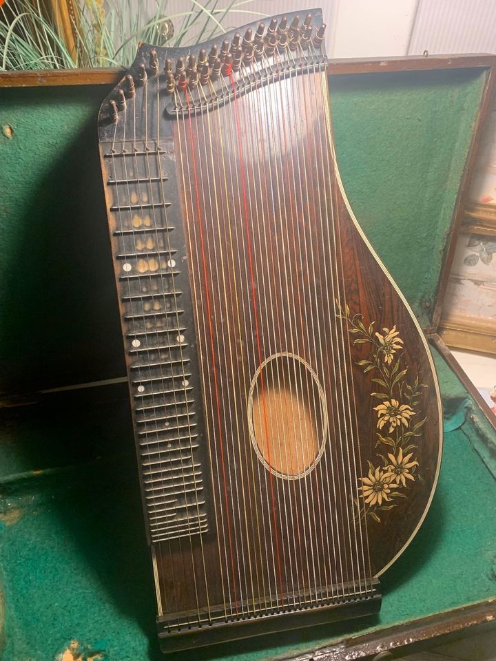 Zither Zitter Zupfinstrumente Musikinstrument Flöten Mundharmonik in Todendorf