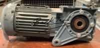 SIEMENS FDU 1207/2107509 003 Getriebemotor / Motor Nordrhein-Westfalen - Enger Vorschau