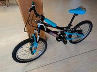 Fahrrad 20 Zoll Bayern - Mettenheim Vorschau