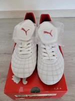 Puma Delmundo ls Brandenburg - Bad Belzig Vorschau