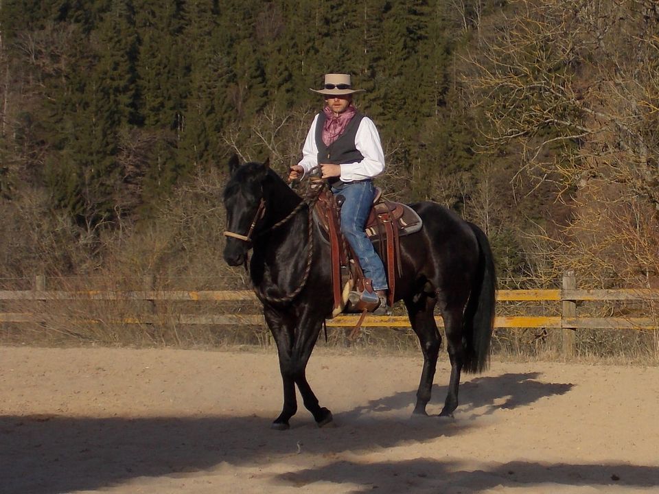 Mobiler Reitunterricht Horsemanship Reitweisen Übergreifend in Eching