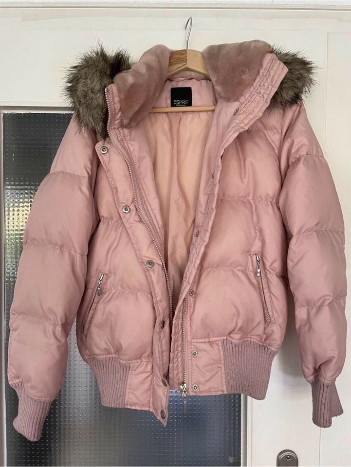 Daunenjacke Esprit Collection Rosa Damen Jacke in Düsseldorf - Bezirk 8 |  eBay Kleinanzeigen ist jetzt Kleinanzeigen