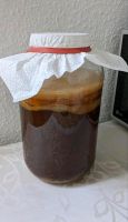 Kombucha Scoby Baden-Württemberg - Weil am Rhein Vorschau