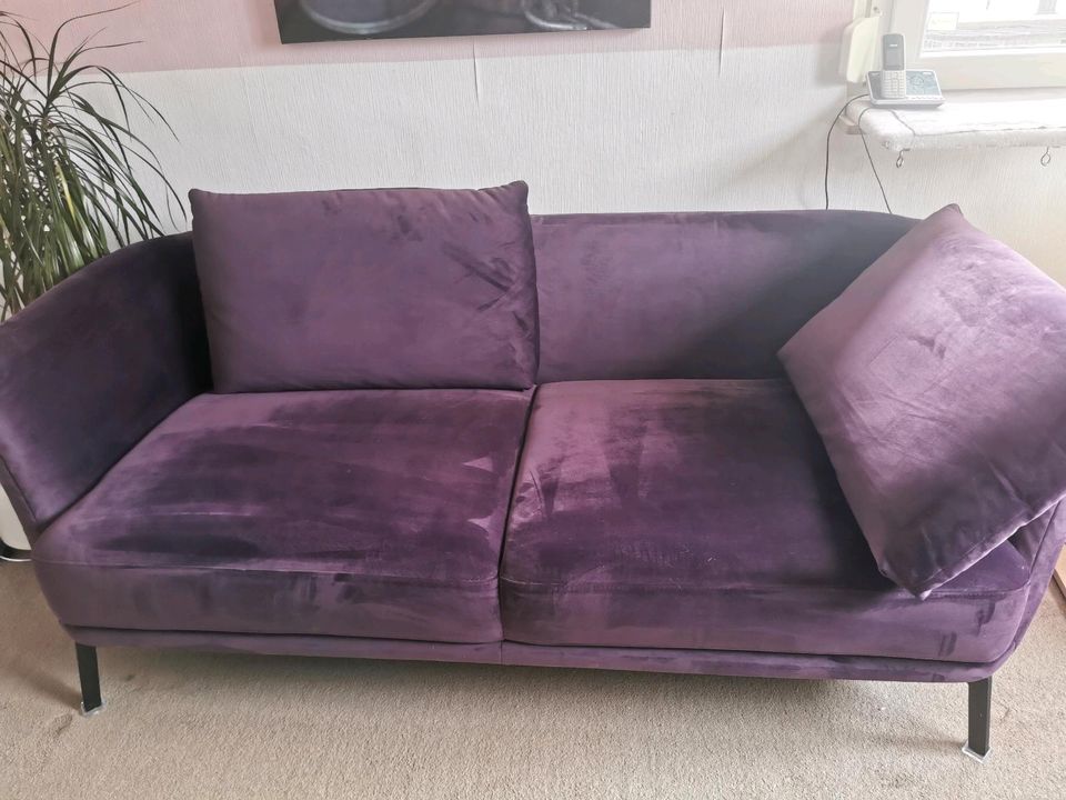 Sofa 2,5-Sitzer Lila Samt in Waiblingen