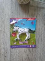 Schleich Pferd Dortmund - Grevel Vorschau