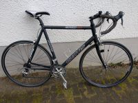 Rennrad mit CARBON Gabel Hamburg-Mitte - Hamburg Hamm Vorschau