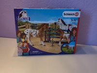 Schleich gebraucht 42433 Schleswig-Holstein - Rodenbek Vorschau