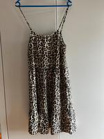 Leopardenkleid Sachsen-Anhalt - Blankenburg (Harz) Vorschau