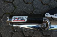 Giannelli Carbon Auspuff SR 50 Yamaha Aerox Piaggio NRG Peugeot München - Altstadt-Lehel Vorschau