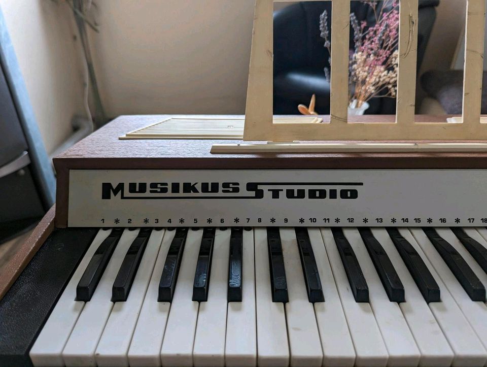 Vintage Luftorgel von Musikus Studio in Remscheid