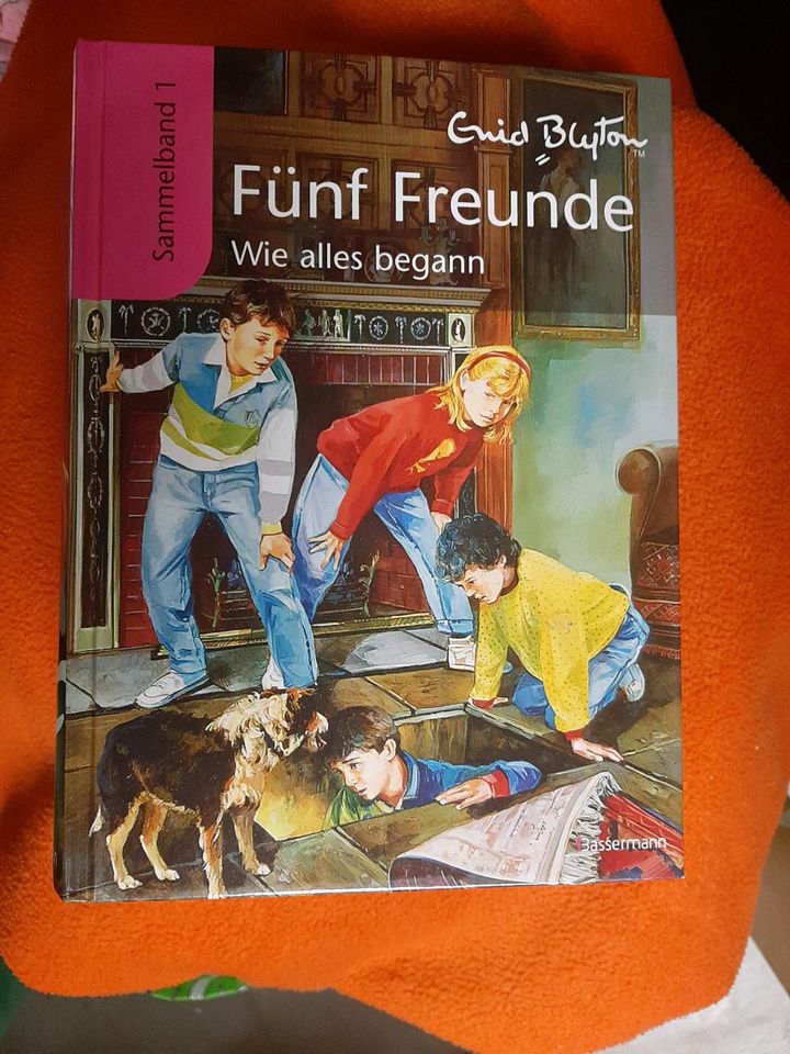 Kinder/ Jugendliche Bücher in Gondelsheim