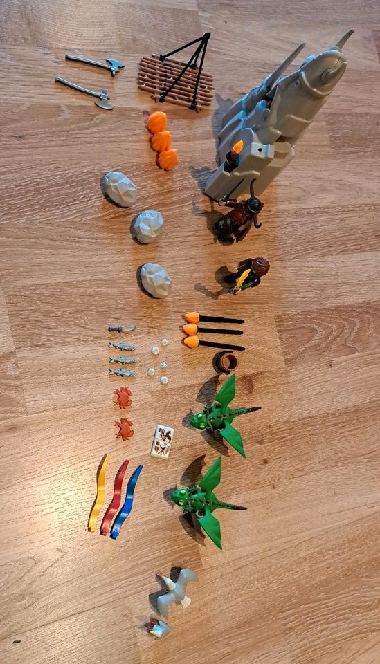 Playmobil  Dreamworks Dragons Berk in Olsberg