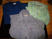 Damen Sommerblusen Bluse tailliert Mexx Mustang Colours Gr. M Hessen - Witzenhausen Vorschau