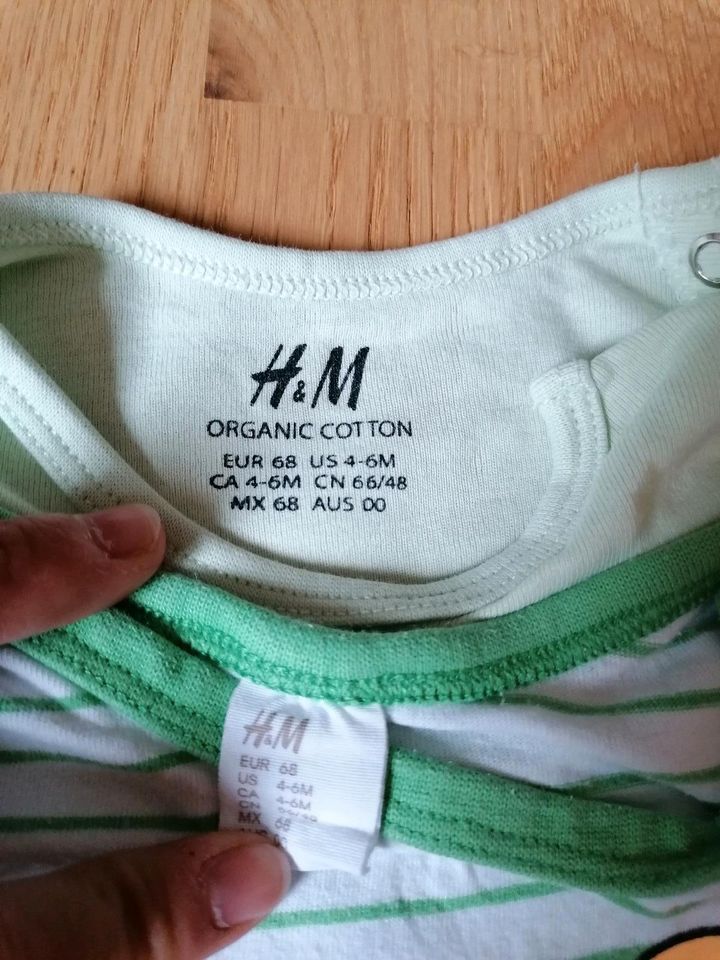 H&M Body kurzarm Set Größe 68 in Ludwigsburg