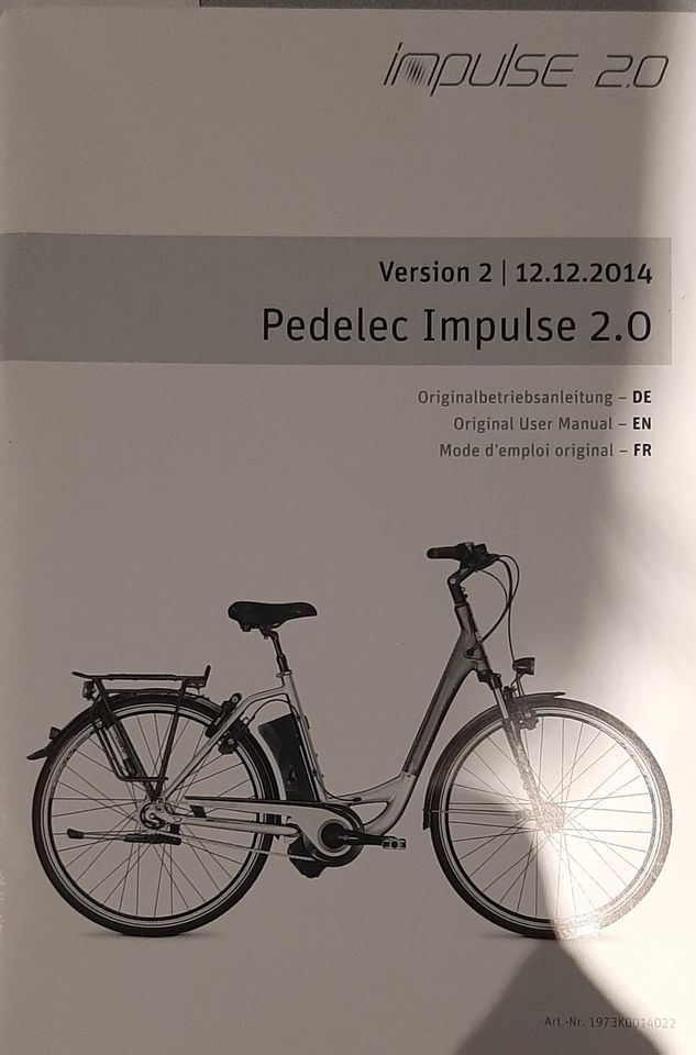 Raleigh Pedelec eBike Impulse 2.0 in Großheubach
