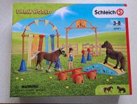 Schleich - Farm World - 42481 ☆NEU☆ Bayern - Weißenhorn Vorschau