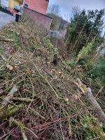 Holz zu verschenken Osterfeuer oder für Kamin Wuppertal - Ronsdorf Vorschau