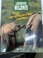 Buch, Tiere der Afrikanischen  Savanne Brandenburg - Oranienburg Vorschau