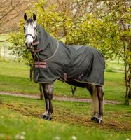 Horseware Amigo Hero mit Halsteil 0g sehr robust, wasserdicht, winddicht, ideale Weidedecke, Regendecke, Stalldecke 125,130,140,145,155,160 Neu sehr robust AAPP90 Nordrhein-Westfalen - Kempen Vorschau