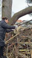 Garten- und Grundstückspflege Mecklenburg-Vorpommern - Karlshagen Vorschau