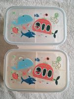 Set: 2x Bento Good Lunch Box 1.1 Liter Brandenburg - Cottbus Vorschau