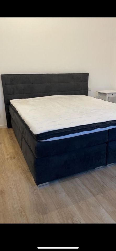 Boxspringbett super hochwertig in Stuttgart