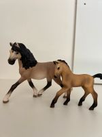 Schleich Pferd mit Fohlen Thüringen - Unterbreizbach Vorschau