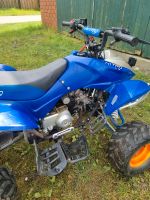 Nitro Quat 125 ccm Nordrhein-Westfalen - Sassenberg Vorschau