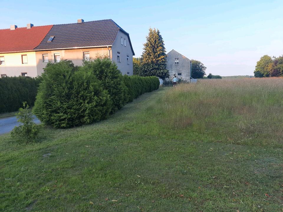 title image