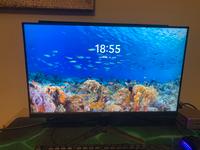 Gaming Monitor für Einsteiger Bayern - Landshut Vorschau