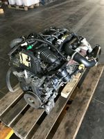 Ford HDDA Motor 1,6L Diesel Nordrhein-Westfalen - Recklinghausen Vorschau