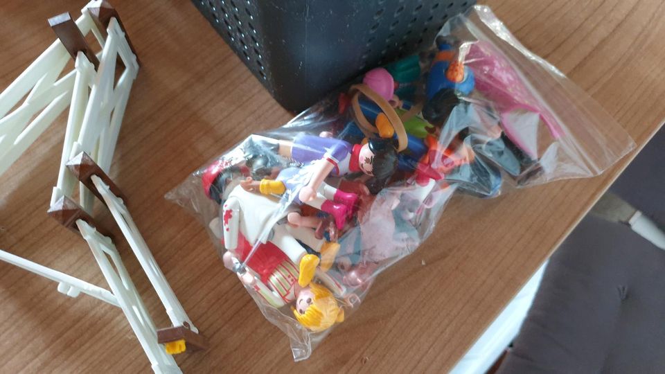 Playmobil Country Sammlung in Wingst