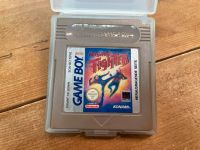 Gameboy Classic Spiel Raging Fighter Nordrhein-Westfalen - Nottuln Vorschau