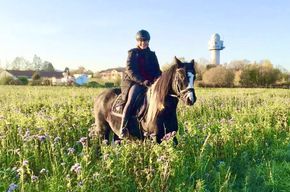 erfahrene Reit- und Pflegebeteiligung für tolles Pony gesucht in Essen