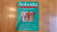 Sobotta Atlas der Anatomie des Menschen Bd 2 19. Auflage 1988 Nordrhein-Westfalen - Gladbeck Vorschau