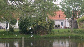 gemütliches,gepflegtes Ferienhaus  Zeeland /Renesse /Scharendijke in Königswinter