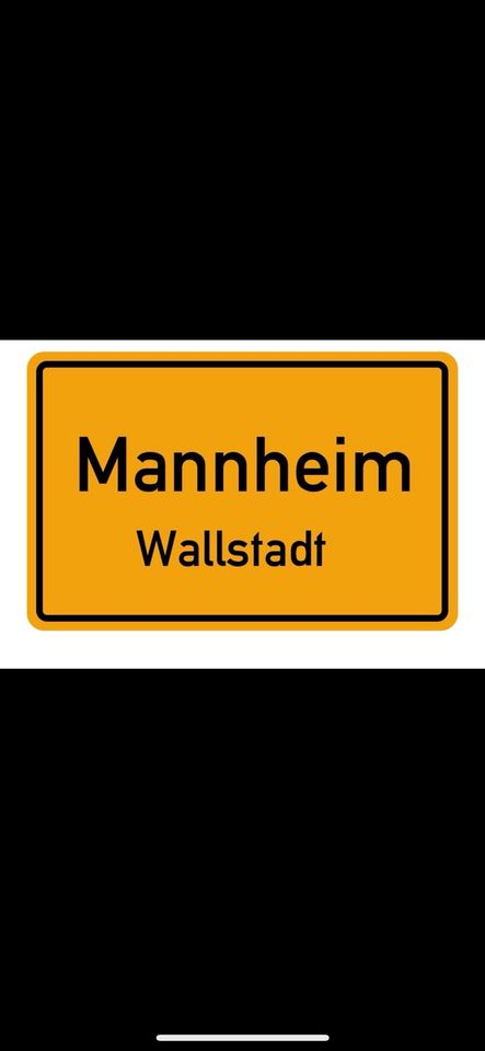 2 oder 3 Zimmer Wohnung in Mannheim Wallstadt gesucht in Heddesheim