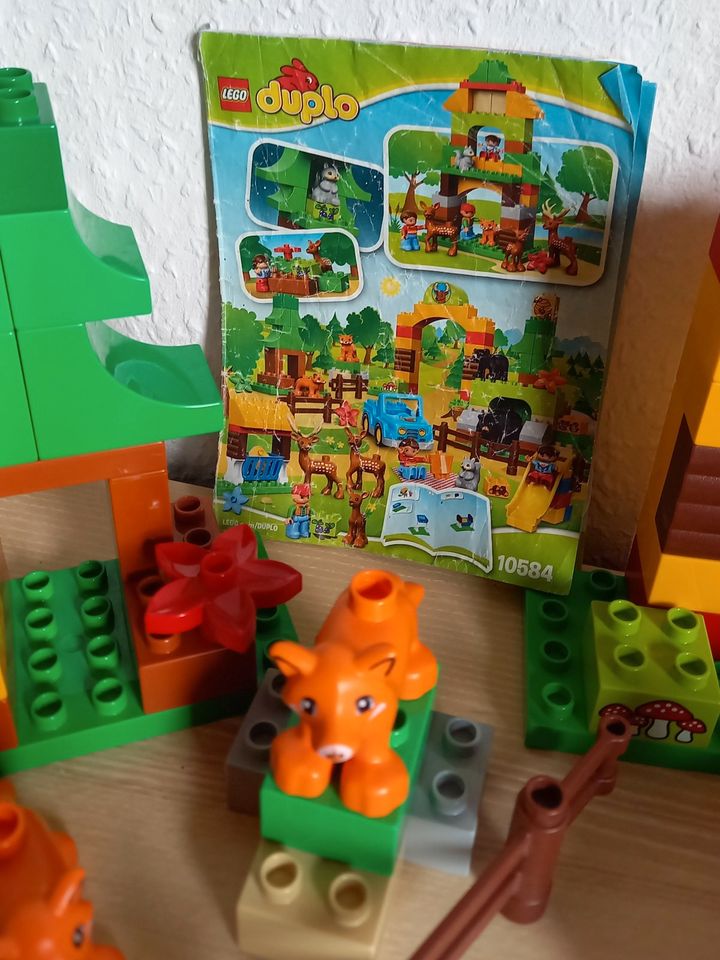 LEGO DUPLO 10584 Wildpark in Panketal