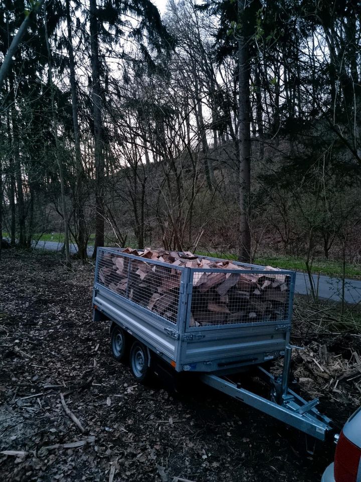 Brennholz,  Buche, fast trocken,  Kaminholz, Wunschlänge in Kalletal