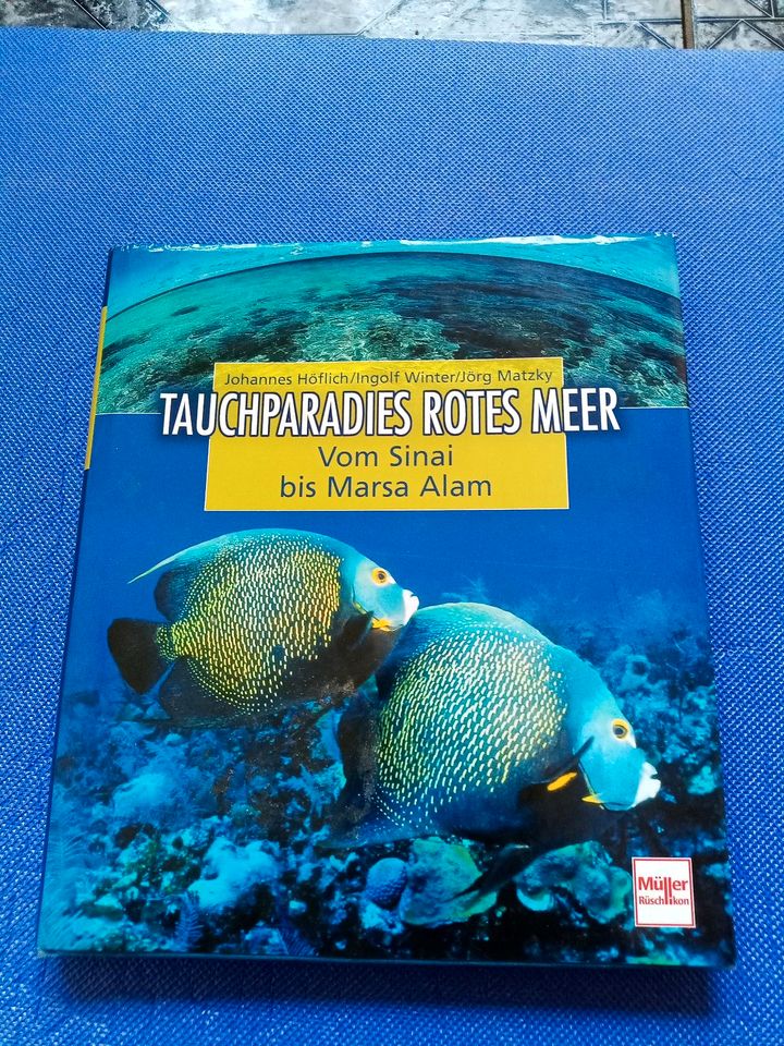 Buch Tauchparadies Rotes Meer in Oberderdingen