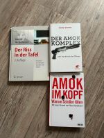 Facharbeit, Fachliteratur „Amok“ - Der Riss in der Tafel Mecklenburg-Vorpommern - Wismar Vorschau