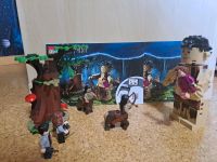 Lego Harry Potter Nr  75967 Baden-Württemberg - Bermatingen Vorschau