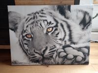 Tiger Bild Leinwandbild Nordrhein-Westfalen - Bedburg Vorschau