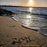 Ruhiges abgelegenes Wohnen in Ostsee Nähe. Schleswig-Holstein - Gelting Angeln Vorschau