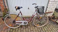 Damenrad Rheinfels 54rh Scheunenfund Oldie vintage retro Niedersachsen - Weener Vorschau